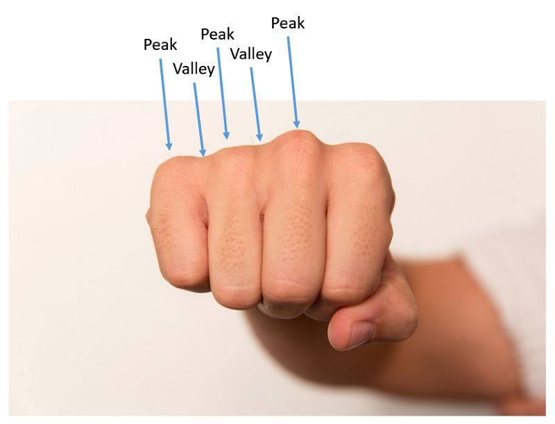 A knuckle of peaks are valleys